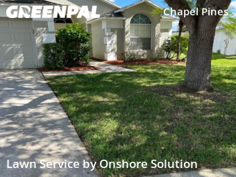 Lawn Mowing nearby Wesley Chapel, FL, 