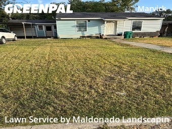 Lawn Carein Pasadena,77506,Lawn Service by Maldonado Landscapin, work completed in Dec , 2025