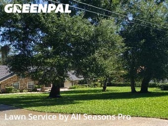 Grass Cut nearby Riverview, FL, 