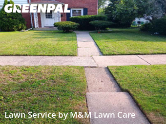 Lawn Mow nearby Munster, IL, 