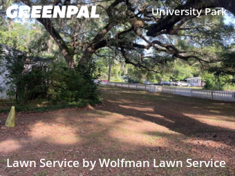 Yard Cutting nearby Gainesville, FL, 