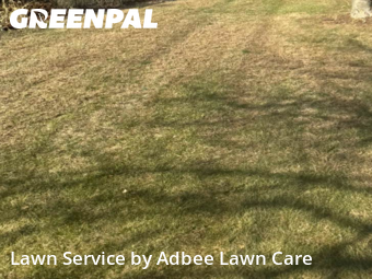 Lawn Maintenance nearby Champaign, IL, 
