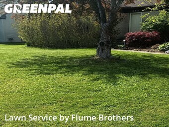 Yard Cutting nearby Roseville, MI, 