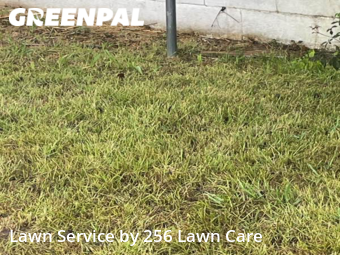 Lawn Cut nearby Anniston, AL, 