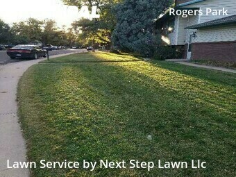 Yard Cutting nearby Fort Collins, CO, 