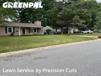 Yard Cutting nearby Charlotte, NC, 