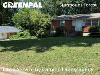 Grass Cut nearby Greensboro, NC, 