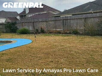 Lawn Mow nearby Corpus Christi, TX, 
