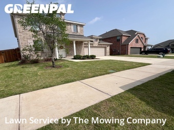 Yard Cutting nearby Forney, TX, 