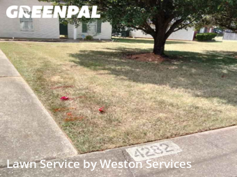 Lawn Cut nearby Bessemer, AL, 