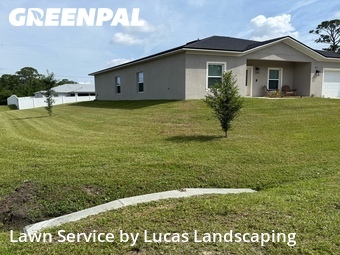 Lawn mowed in Palm Bay, 32909