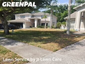 Grass Cutting nearby Palm Harbor, FL, 