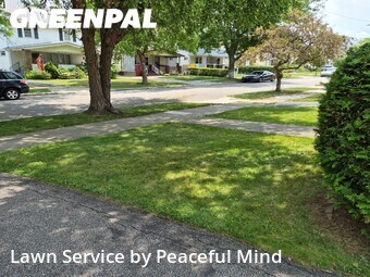 Lawn mowed in Lakewood, 44107