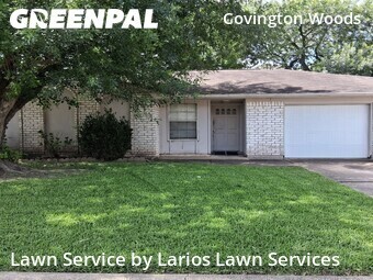Yard Cutting nearby Sugar Land, TX, 