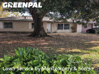 Grass Cutting nearby Lakeland, FL, 