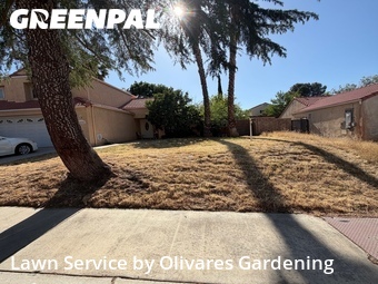 Lawn mowing work completed in Palmdale, CA