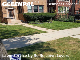 Grass Cut nearby Chicago, IL, 