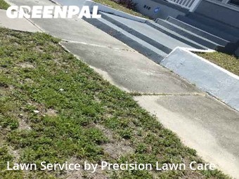 Yard Cutting nearby Tampa, FL, 