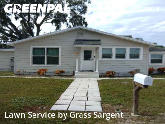 Lawn Mowin Palm Harbor,34683,Lawn Care by Grass Sargent, work completed in Jan , 2026