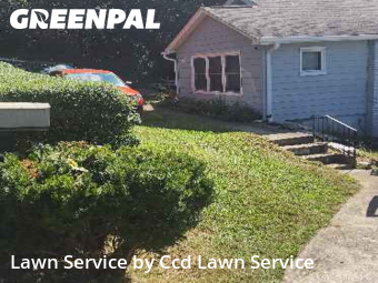 Yard Cutting nearby Knoxville, NC, 