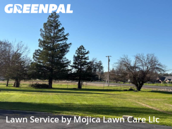 Landscaping In Elk Grove,95624,Landscaping Installation by Mojica Lawn Care Llc, work completed in Feb , 2026
