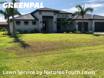 Lawn Mow nearby Cape Coral, FL, 