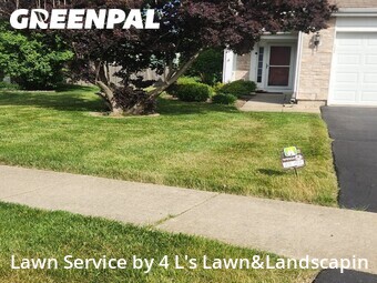 Lawn Mow nearby Pingree Grove, IL, 