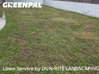 Lawn mowed in Hallandale Beach, 33009