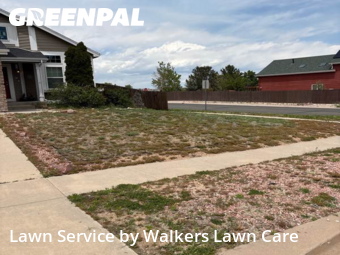 Lawn Mowing nearby Colorado Springs, CO, 