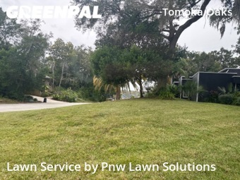 Lawn Cut nearby Ormond Beach, FL, 