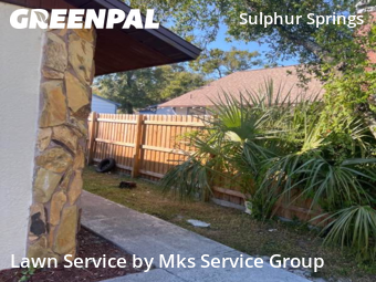 Lawn Servicein Tampa,33604,Lawn Mow by Mks Service Group, work completed in Nov , 2025