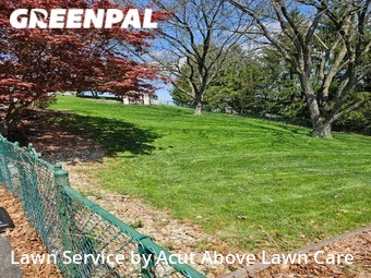 Lawn Mow nearby Clairton, PA, 