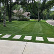lawn-care-services-in-Coon Rapids-MN