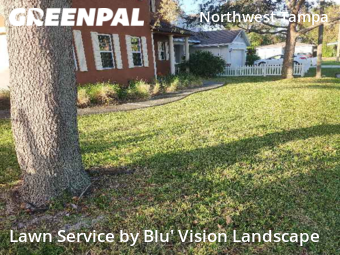 Lawn Cutting nearby Tampa, FL, 