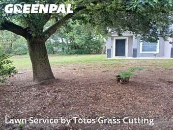 Grass Cut nearby Apopka, FL, 