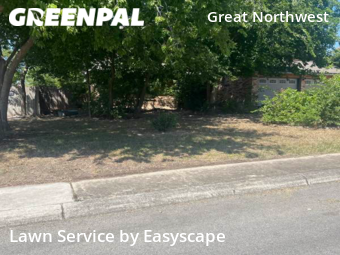 Yard Cutting nearby San Antonio, TX, 