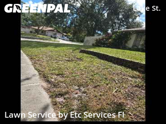 Grass Cutin Palm Harbor,34684,Lawn Mow by Etc Services Fl, work completed in Dec , 2025