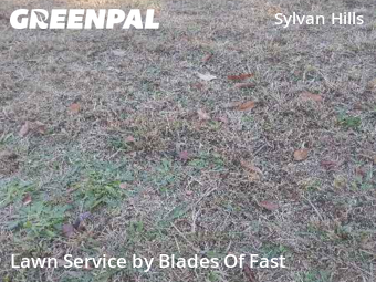 Lawn Mowing nearby Atlanta, GA, 