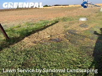 Grass Cutting nearby Lubbock, TX, 