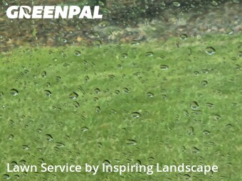 Yard Cuttingin Castle Pines,80108,Yard Cutting by Inspiring Landscape, work completed in Jun , 2026
