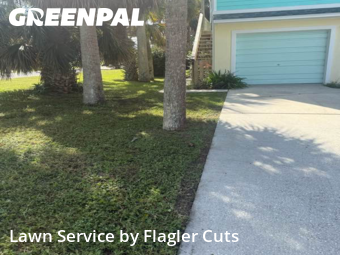 Grass Cut nearby Flagler Beach, FL, 
