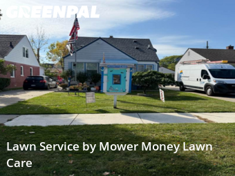 Grass Cut nearby St. Clair Shores, MI, 