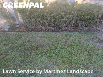 Lawn mowed in Horizon West, 34786