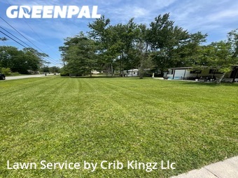 Grass Cut nearby Jacksonville, FL, 