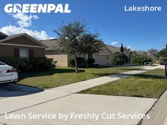 Grass Cut nearby Winter Haven, FL, 