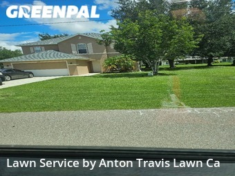 Lawn Cut nearby Port Charlotte, FL, 