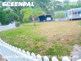 Grass Cutting nearby Wesley Chapel, FL, 