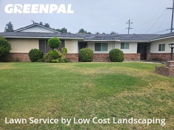 Grass Cut nearby Fresno, CA, 