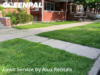 Lawn Cutting nearby Chicago, IN, 