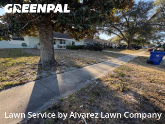 Grass Cutin Ocoee,34761,Lawn Cutting by Alvarez Lawn Company, work completed in Feb , 2026